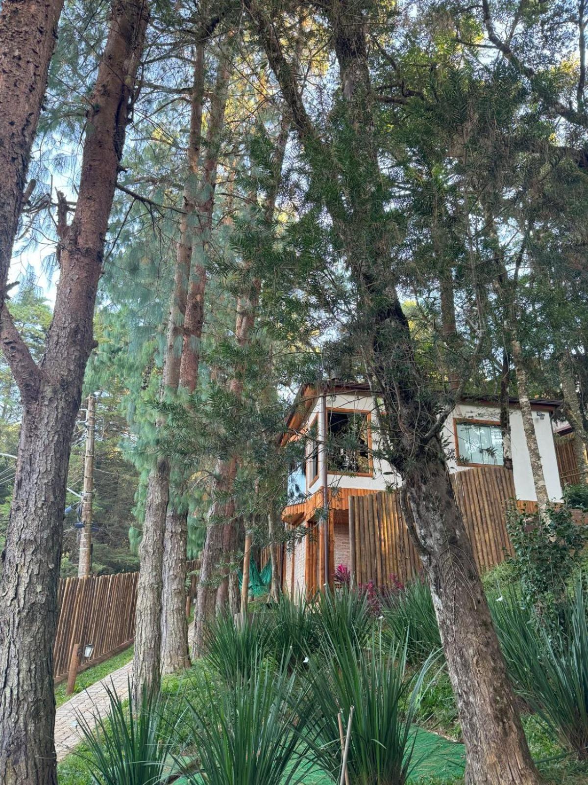Estalagem Serra De Minas Em Monte Verde Monte Verde  Εξωτερικό φωτογραφία
